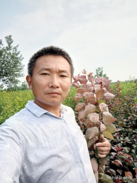孩子爸的第二张照片--新沂残疾人相亲网